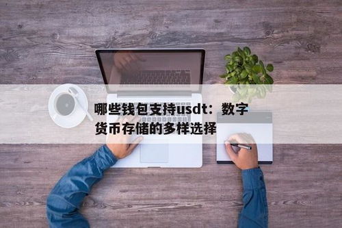 什么硬钱包支持usdt,安全存储与便捷交易的最佳选择