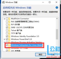 linux系统怎么换成windows10,windows和linux的区别