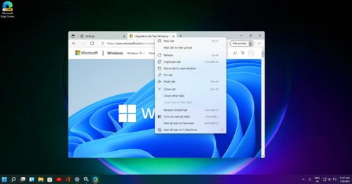 win11专业版下载,win11专业版下载官网