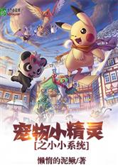 宠物小精灵之神秘系统,宠物小精灵之神秘系统的崛起