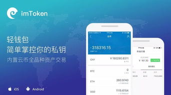 imtoken是哪个国家的软件,IMToke软件的起源与所属国家