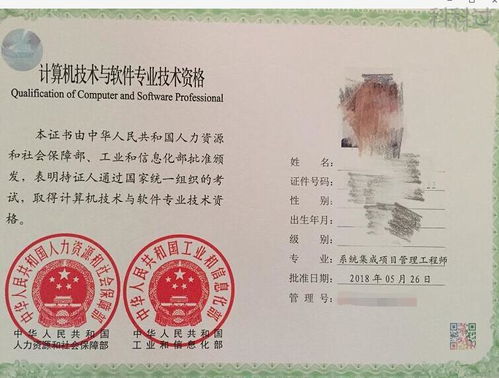 信息系统项目管理师 系统集成项目管理工程师,职业概述