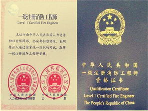 系统分析及软件应用工程师证书,系统分析及软件应用工程师证书的重要性