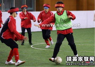 四人团队游戏,四人团队游戏的策略与激情对决