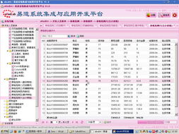 道系统集成开发工具,构建高效智能解决方案的利器